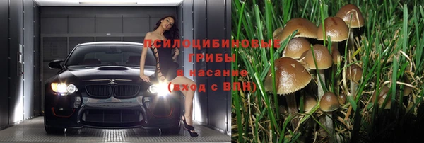 прущая мука Абдулино