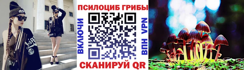 Галлюциногенные грибы прущие грибы  Сясьстрой 